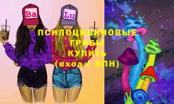 сатива Абаза