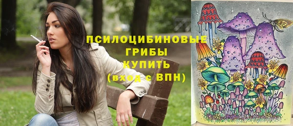 стаф Абдулино