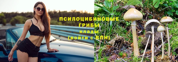 стаф Абдулино