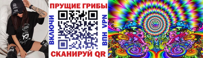 OMG как войти  Задонск  Галлюциногенные грибы прущие грибы 